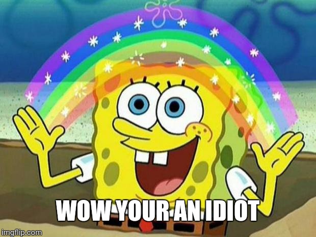 spongebob rainbow | WOW YOUR AN IDIOT | image tagged in spongebob rainbow | made w/ Imgflip meme maker
