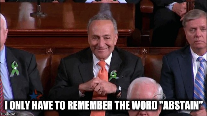 Chuck Schumer Creepy | I ONLY HAVE TO REMEMBER THE WORD "ABSTAIN" | image tagged in chuck schumer creepy | made w/ Imgflip meme maker