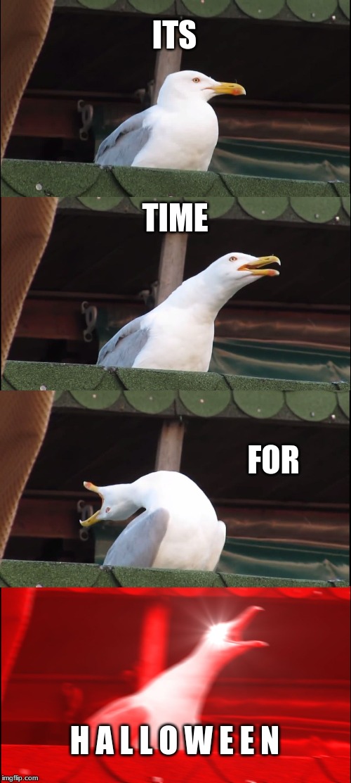 Inhaling Seagull | ITS; TIME; FOR; H A L L O W E E N | image tagged in memes,inhaling seagull | made w/ Imgflip meme maker