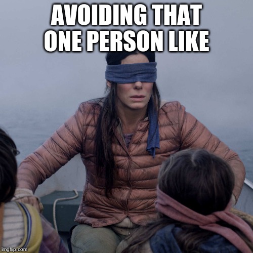 Bird Box | AVOIDING THAT ONE PERSON LIKE | image tagged in memes,bird box | made w/ Imgflip meme maker