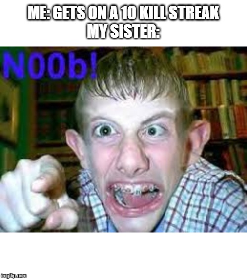 noob | ME: GETS ON A 10 KILL STREAK
MY SISTER: | image tagged in noob | made w/ Imgflip meme maker