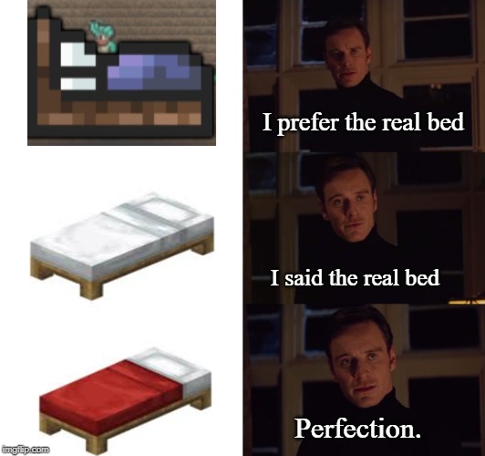 perfection | I prefer the real bed; I said the real bed; Perfection. | image tagged in perfection | made w/ Imgflip meme maker