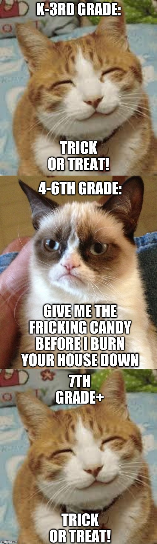 Ah, trick or treating! | K-3RD GRADE:; TRICK OR TREAT! 4-6TH GRADE:; GIVE ME THE FRICKING CANDY BEFORE I BURN YOUR HOUSE DOWN; 7TH GRADE+; TRICK OR TREAT! | image tagged in memes,grumpy cat,happy cat,trick or treat,halloween | made w/ Imgflip meme maker