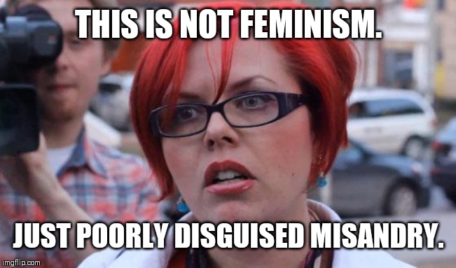 Angry Feminist | THIS IS NOT FEMINISM. JUST POORLY DISGUISED MISANDRY. | image tagged in angry feminist | made w/ Imgflip meme maker