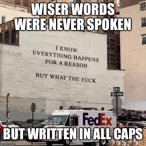 WTF | WISER WORDS WERE NEVER SPOKEN; BUT WRITTEN IN ALL CAPS | image tagged in wtf | made w/ Imgflip meme maker