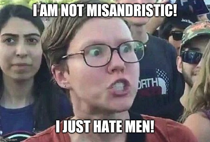 meme angry woman | I AM NOT MISANDRISTIC! I JUST HATE MEN! | image tagged in meme angry woman | made w/ Imgflip meme maker