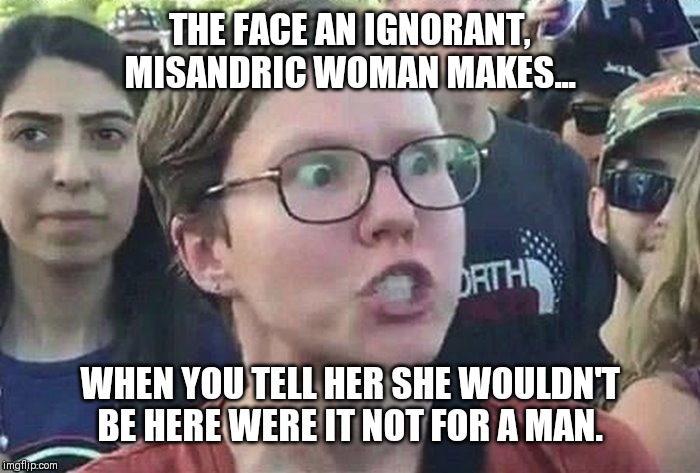 meme angry woman | THE FACE AN IGNORANT, MISANDRIC WOMAN MAKES... WHEN YOU TELL HER SHE WOULDN'T BE HERE WERE IT NOT FOR A MAN. | image tagged in meme angry woman | made w/ Imgflip meme maker