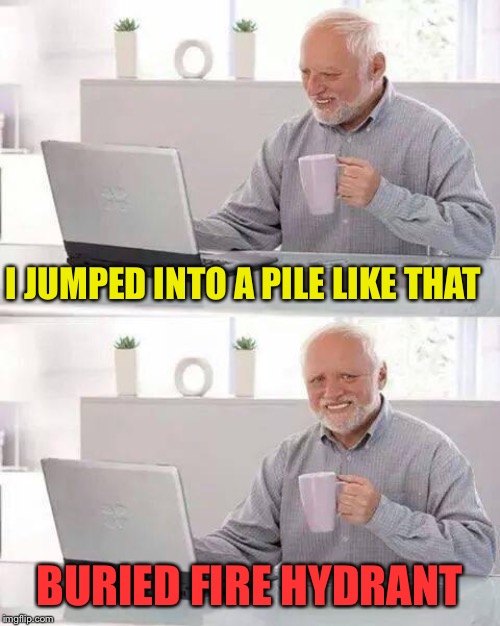 Hide the Pain Harold Meme | I JUMPED INTO A PILE LIKE THAT BURIED FIRE HYDRANT | image tagged in memes,hide the pain harold | made w/ Imgflip meme maker