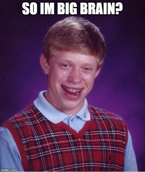 Bad Luck Brian Meme | SO IM BIG BRAIN? | image tagged in memes,bad luck brian | made w/ Imgflip meme maker