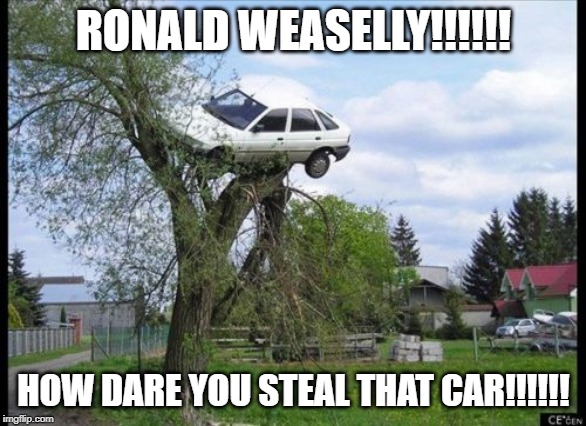 Secure Parking | RONALD WEASELLY!!!!!! HOW DARE YOU STEAL THAT CAR!!!!!! | image tagged in memes,secure parking | made w/ Imgflip meme maker