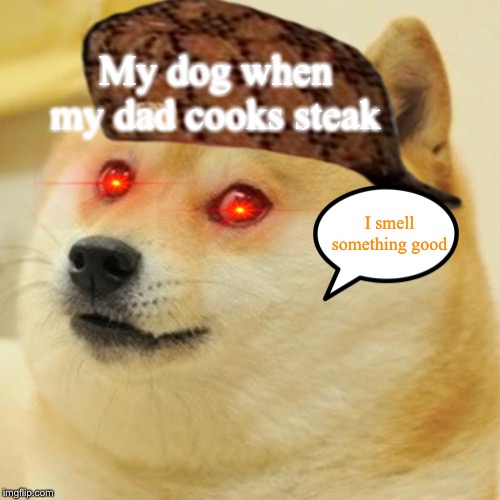 Doge | My dog when my dad cooks steak; I smell something good | image tagged in memes,doge | made w/ Imgflip meme maker