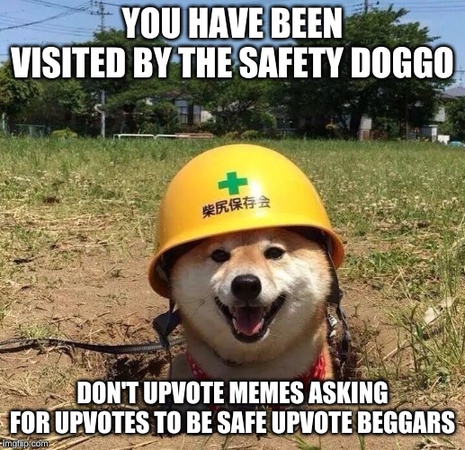 Safety doggo | YOU HAVE BEEN VISITED BY THE SAFETY DOGGO; DON'T UPVOTE MEMES ASKING FOR UPVOTES TO BE SAFE UPVOTE BEGGARS | image tagged in safety doggo | made w/ Imgflip meme maker