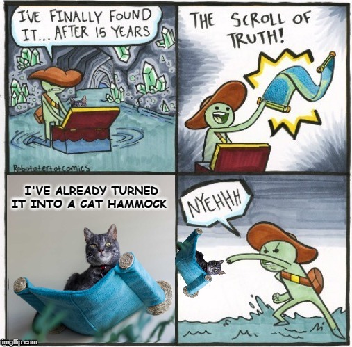 The scroll of sleep | I'VE ALREADY TURNED IT INTO A CAT HAMMOCK | image tagged in funny memes,the scroll of truth,scroll of truth,cat,memes | made w/ Imgflip meme maker