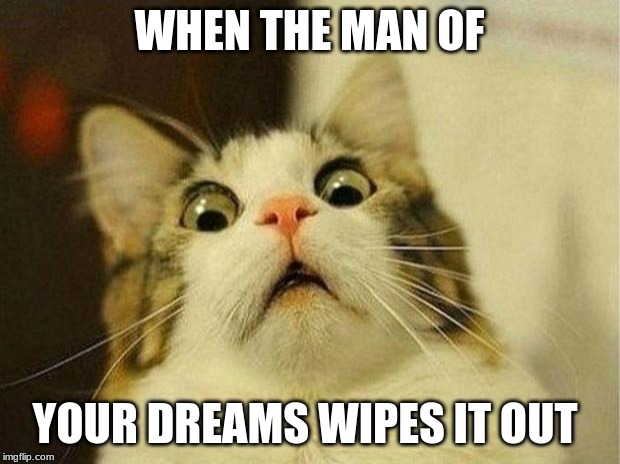 Scared Cat | WHEN THE MAN OF; YOUR DREAMS WIPES IT OUT | image tagged in memes,scared cat | made w/ Imgflip meme maker