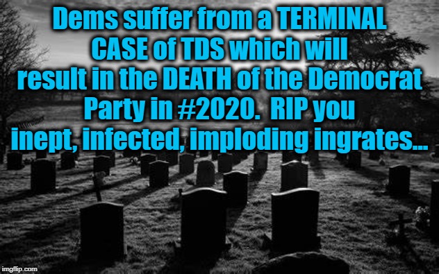 NO CURE for Democrat Insanity | Dems suffer from a TERMINAL CASE of TDS which will result in the DEATH of the Democrat Party in #2020.  RIP you inept, infected, imploding ingrates... | image tagged in politics,political meme,political,politics lol,political humor,political memes | made w/ Imgflip meme maker