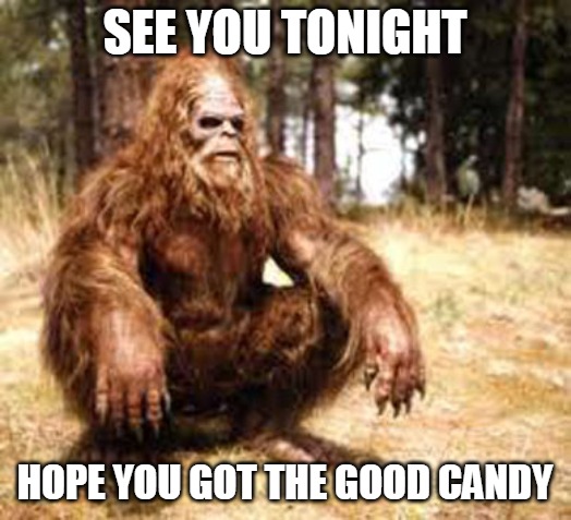 bigfoot | SEE YOU TONIGHT; HOPE YOU GOT THE GOOD CANDY | image tagged in bigfoot | made w/ Imgflip meme maker