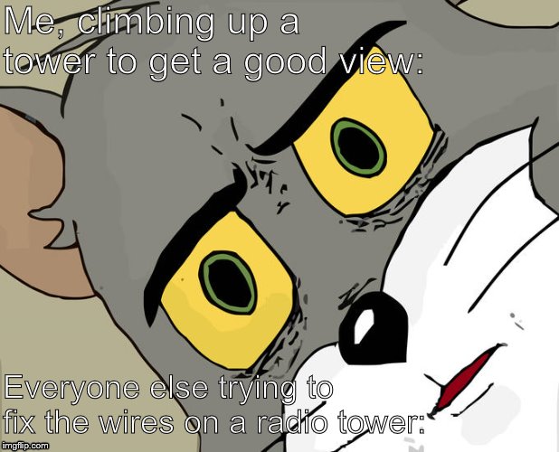 Fried human for dinner? | Me, climbing up a tower to get a good view:; Everyone else trying to fix the wires on a radio tower: | image tagged in memes,unsettled tom | made w/ Imgflip meme maker