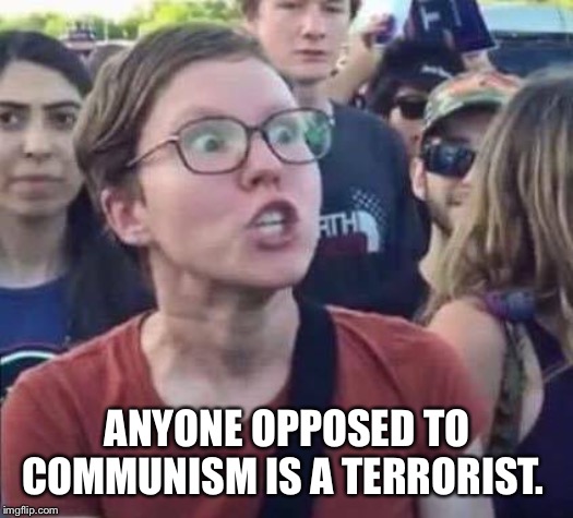 Angry Liberal | ANYONE OPPOSED TO COMMUNISM IS A TERRORIST. | image tagged in angry liberal | made w/ Imgflip meme maker