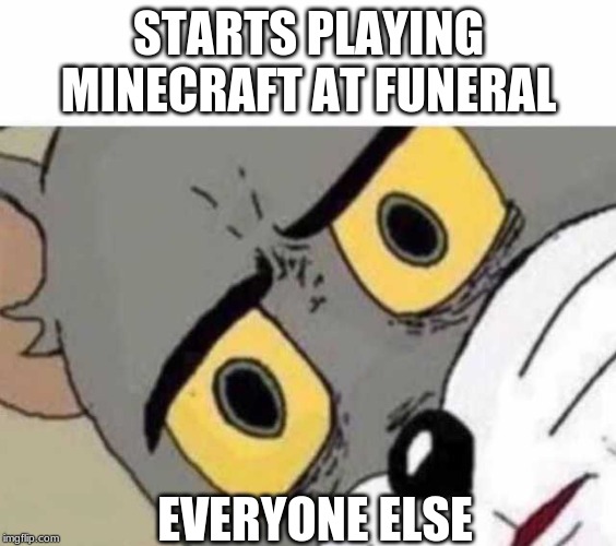 oh god | STARTS PLAYING MINECRAFT AT FUNERAL; EVERYONE ELSE | image tagged in tom cat unsettled close up,minecraft,fun,funny | made w/ Imgflip meme maker