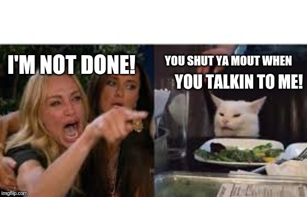 Lady pointing at cat | I'M NOT DONE! YOU SHUT YA MOUT WHEN; YOU TALKIN TO ME! | image tagged in lady pointing at cat | made w/ Imgflip meme maker