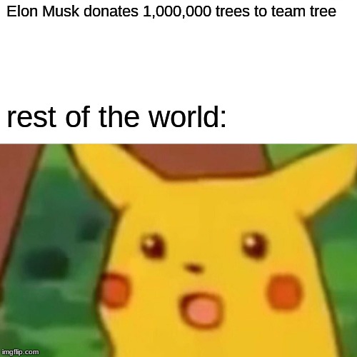 Surprised Pikachu | Elon Musk donates 1,000,000 trees to team tree; rest of the world: | image tagged in memes,surprised pikachu | made w/ Imgflip meme maker
