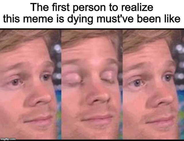 Blinking guy | The first person to realize this meme is dying must've been like | image tagged in blinking guy | made w/ Imgflip meme maker
