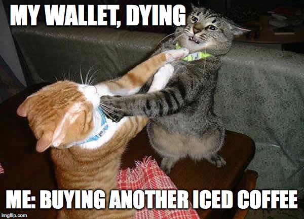 Two cats fighting for real | MY WALLET, DYING; ME: BUYING ANOTHER ICED COFFEE | image tagged in two cats fighting for real,coffee,coffee addict,iced coffee | made w/ Imgflip meme maker
