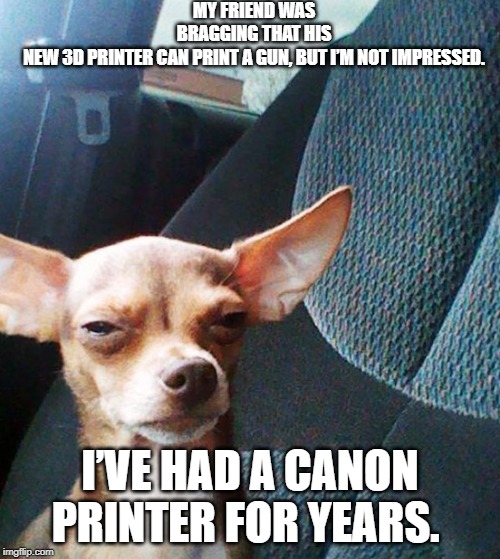 Stoner dog | MY FRIEND WAS BRAGGING THAT HIS NEW 3D PRINTER CAN PRINT A GUN, BUT I’M NOT IMPRESSED. I’VE HAD A CANON PRINTER FOR YEARS. | image tagged in stoner dog | made w/ Imgflip meme maker