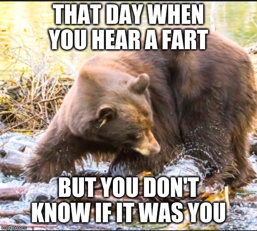 THAT DAY WHEN YOU HEAR A FART; BUT YOU DON'T KNOW IF IT WAS YOU | image tagged in da bears | made w/ Imgflip meme maker