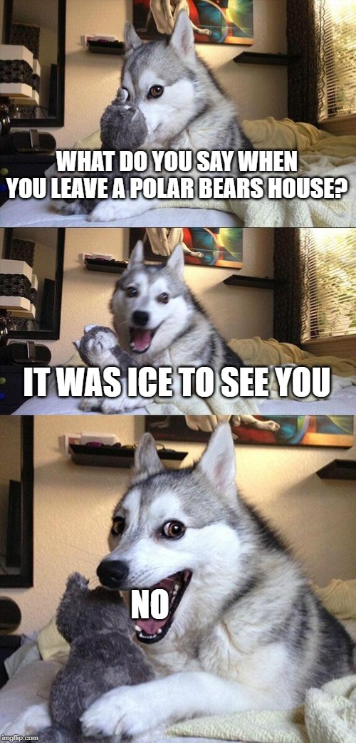 Bad Pun Dog | WHAT DO YOU SAY WHEN YOU LEAVE A POLAR BEARS HOUSE? IT WAS ICE TO SEE YOU; NO | image tagged in memes,bad pun dog | made w/ Imgflip meme maker