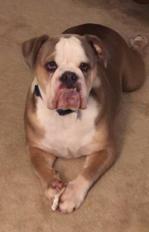 Kaiser Blank Meme Template