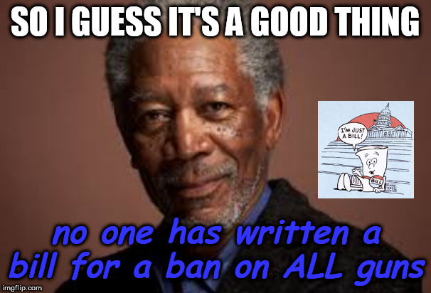 morgan freeman | SO I GUESS IT'S A GOOD THING no one has written a bill for a ban on ALL guns | image tagged in morgan freeman | made w/ Imgflip meme maker