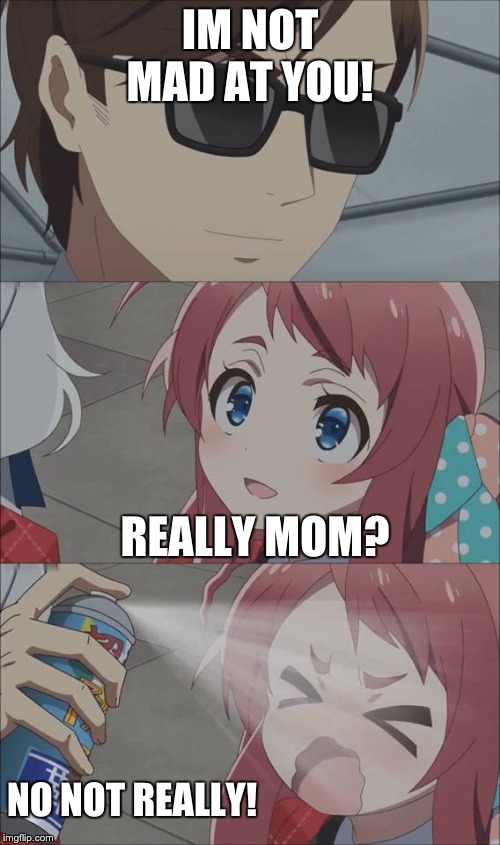 Anime spray | IM NOT MAD AT YOU! REALLY MOM? NO NOT REALLY! | image tagged in anime spray | made w/ Imgflip meme maker