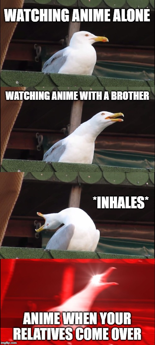 Inhaling Seagull | WATCHING ANIME ALONE; WATCHING ANIME WITH A BROTHER; *INHALES*; ANIME WHEN YOUR RELATIVES COME OVER | image tagged in memes,inhaling seagull | made w/ Imgflip meme maker