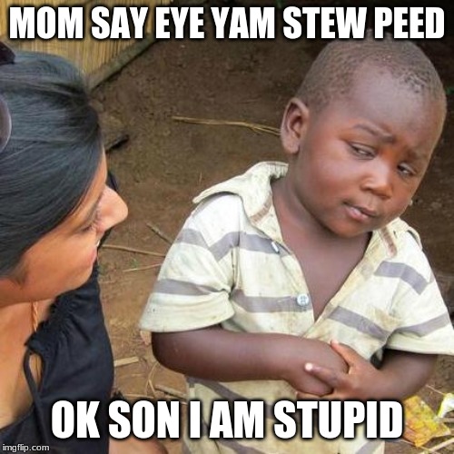 Third World Skeptical Kid | MOM SAY EYE YAM STEW PEED; OK SON I AM STUPID | image tagged in memes,third world skeptical kid | made w/ Imgflip meme maker