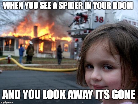 Disaster Girl | WHEN YOU SEE A SPIDER IN YOUR ROOM; AND YOU LOOK AWAY ITS GONE | image tagged in memes,disaster girl | made w/ Imgflip meme maker