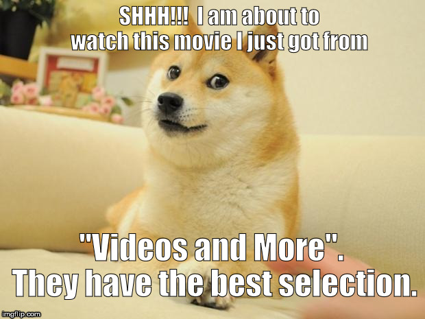 Doge 2 Meme | SHHH!!!  I am about to watch this movie I just got from; "Videos and More".  They have the best selection. | image tagged in memes,doge 2 | made w/ Imgflip meme maker