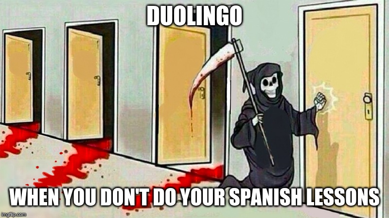 death knocking at the door | DUOLINGO; WHEN YOU DON'T DO YOUR SPANISH LESSONS | image tagged in death knocking at the door | made w/ Imgflip meme maker