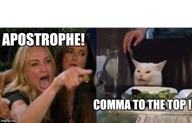 Lady pointing at cat | APOSTROPHE! COMMA TO THE TOP ! | image tagged in lady pointing at cat | made w/ Imgflip meme maker