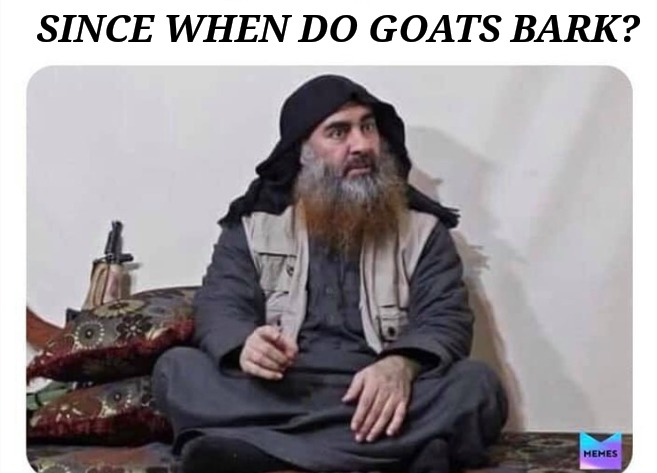 High Quality Bake Al Bagdhaddi Blank Meme Template