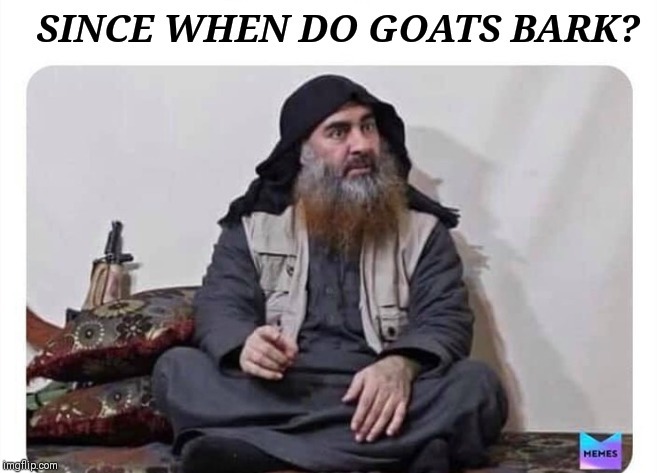 Bake Al Bagdhaddi | image tagged in bake al bagdhaddi | made w/ Imgflip meme maker