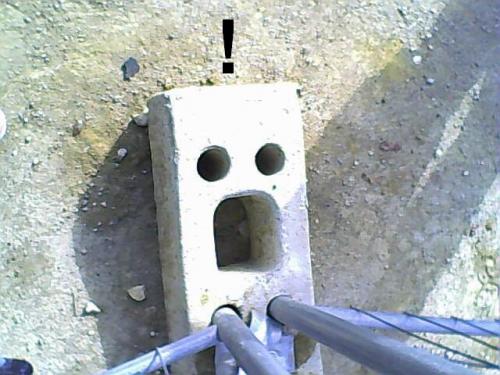 image tagged in funny