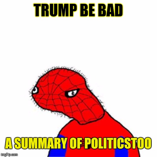 spoderman | TRUMP BE BAD A SUMMARY OF POLITICSTOO | image tagged in spoderman | made w/ Imgflip meme maker