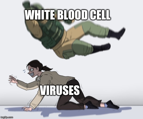 Rainbow Six - Fuze The Hostage | WHITE BLOOD CELL; VIRUSES | image tagged in rainbow six - fuze the hostage | made w/ Imgflip meme maker