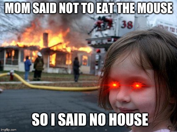 Disaster Girl Meme | MOM SAID NOT TO EAT THE MOUSE; SO I SAID NO HOUSE | image tagged in memes,disaster girl | made w/ Imgflip meme maker