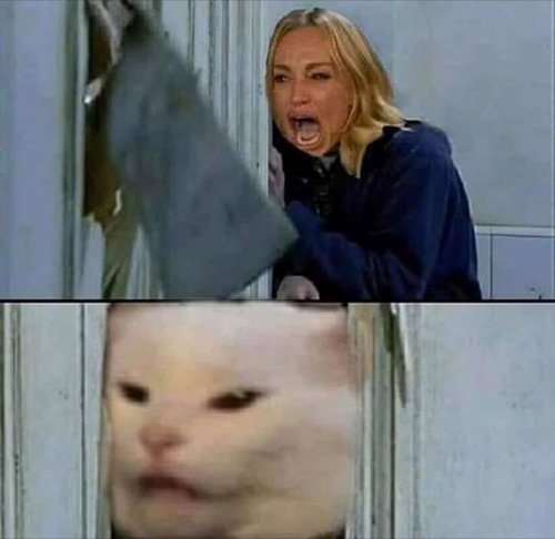 Cat in the Shining Blank Meme Template