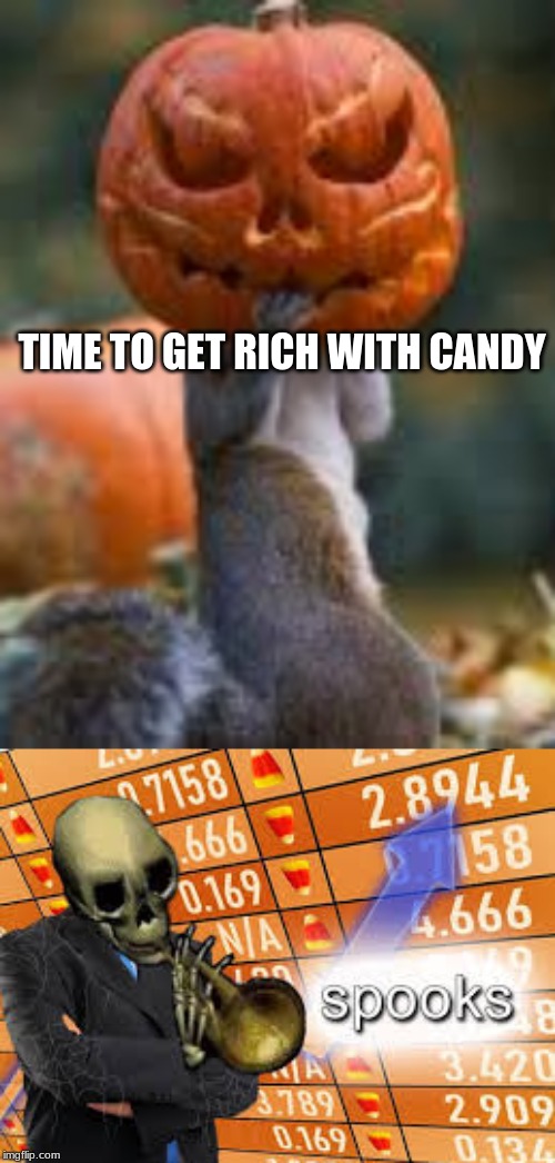 pumpkin squirrel |  TIME TO GET RICH WITH CANDY | image tagged in spooks | made w/ Imgflip meme maker