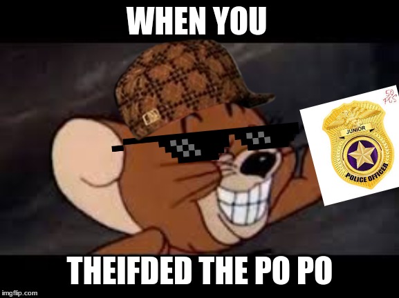WHEN YOU; THEIFDED THE PO PO | image tagged in funny | made w/ Imgflip meme maker