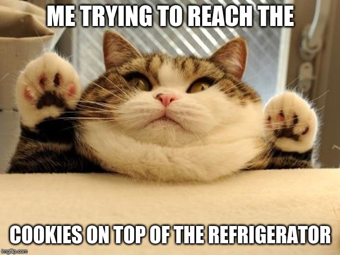 Jabba the Hutt fat cat | ME TRYING TO REACH THE; COOKIES ON TOP OF THE REFRIGERATOR | image tagged in jabba the hutt fat cat | made w/ Imgflip meme maker