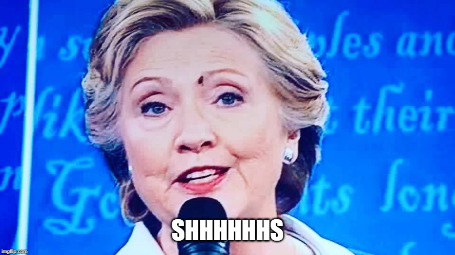 Hillay shit fly | SHHHHHHS | image tagged in hillay shit fly | made w/ Imgflip meme maker